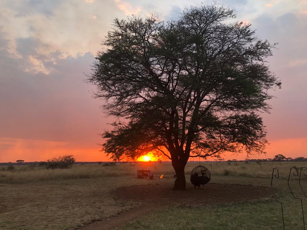 background image for - 4 Days Migration Safari From Nov - Dec.