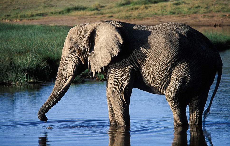 Image number 3 for 6-Day Best Honeymoon & Big Five Trip With Full Of Nature