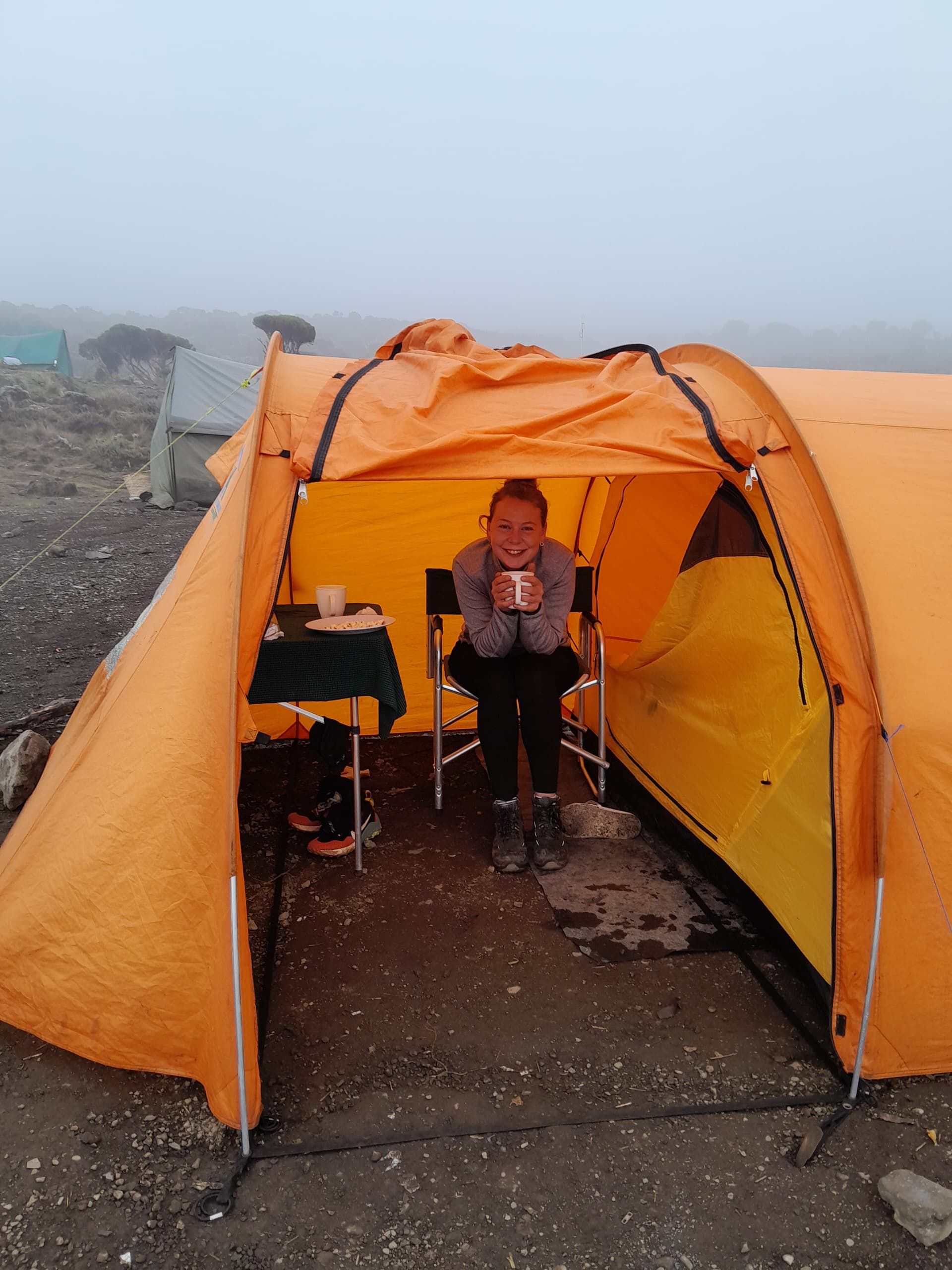 Image number 5 for Mount Kilimanjaro Trek Via Northern Circuit