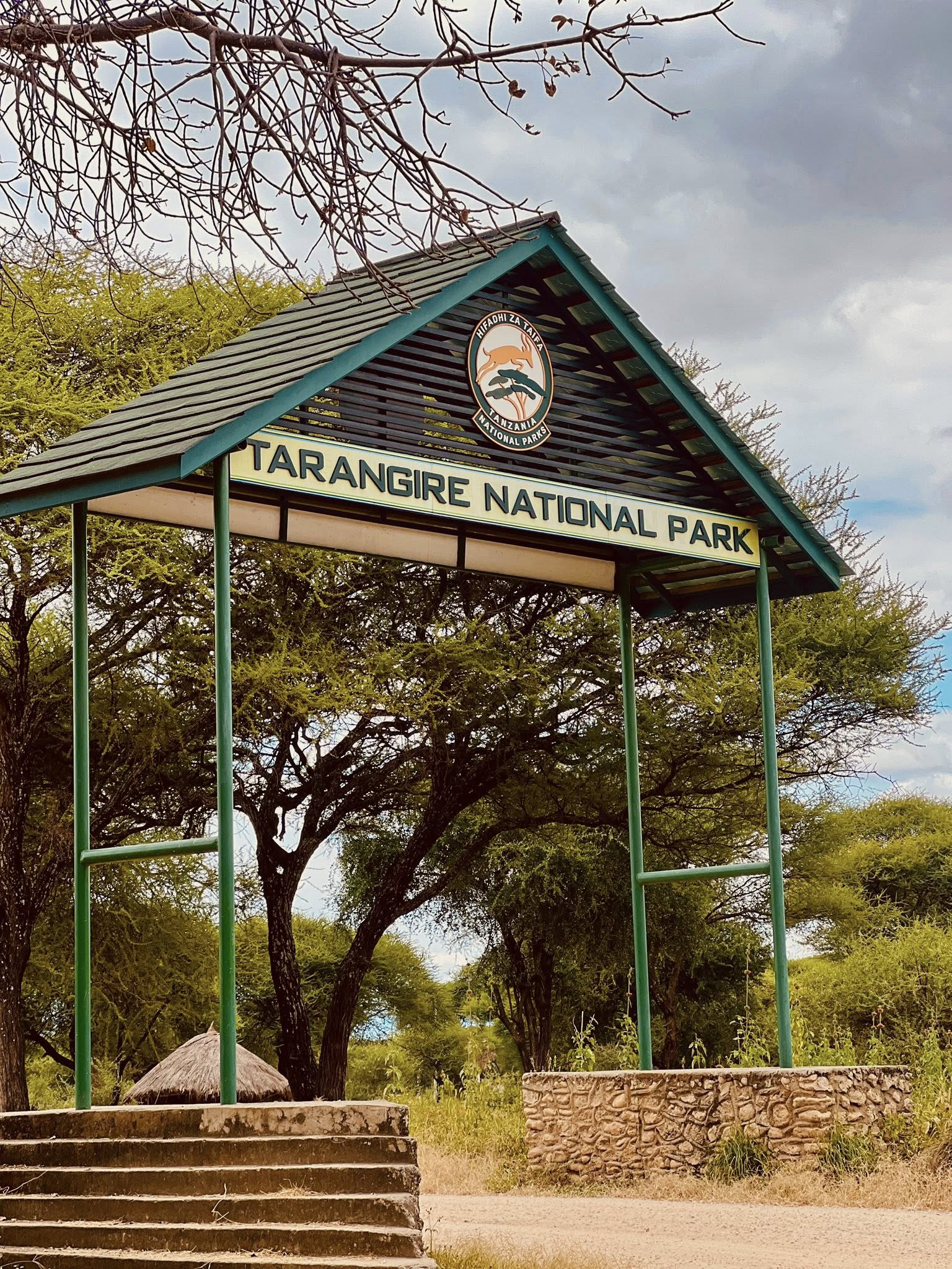 Image number 2 for Fly In & Out From Tarangire And Ngorongoro Crater