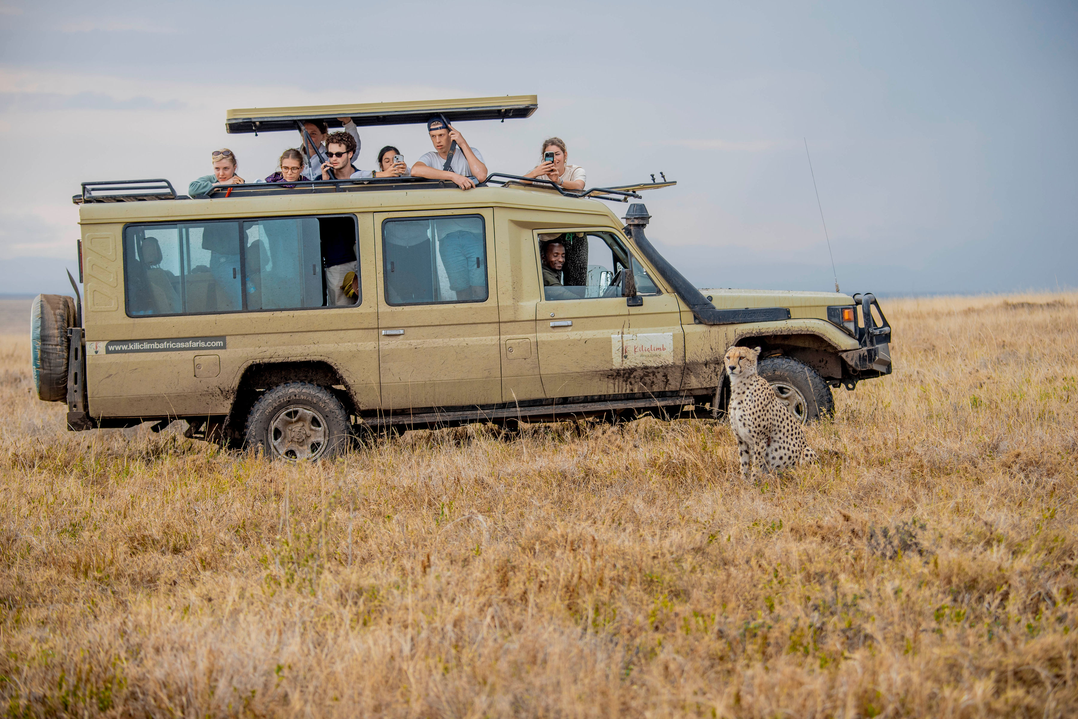 background image for - Fly In Serengeti And Ngorongoro Camping Safari