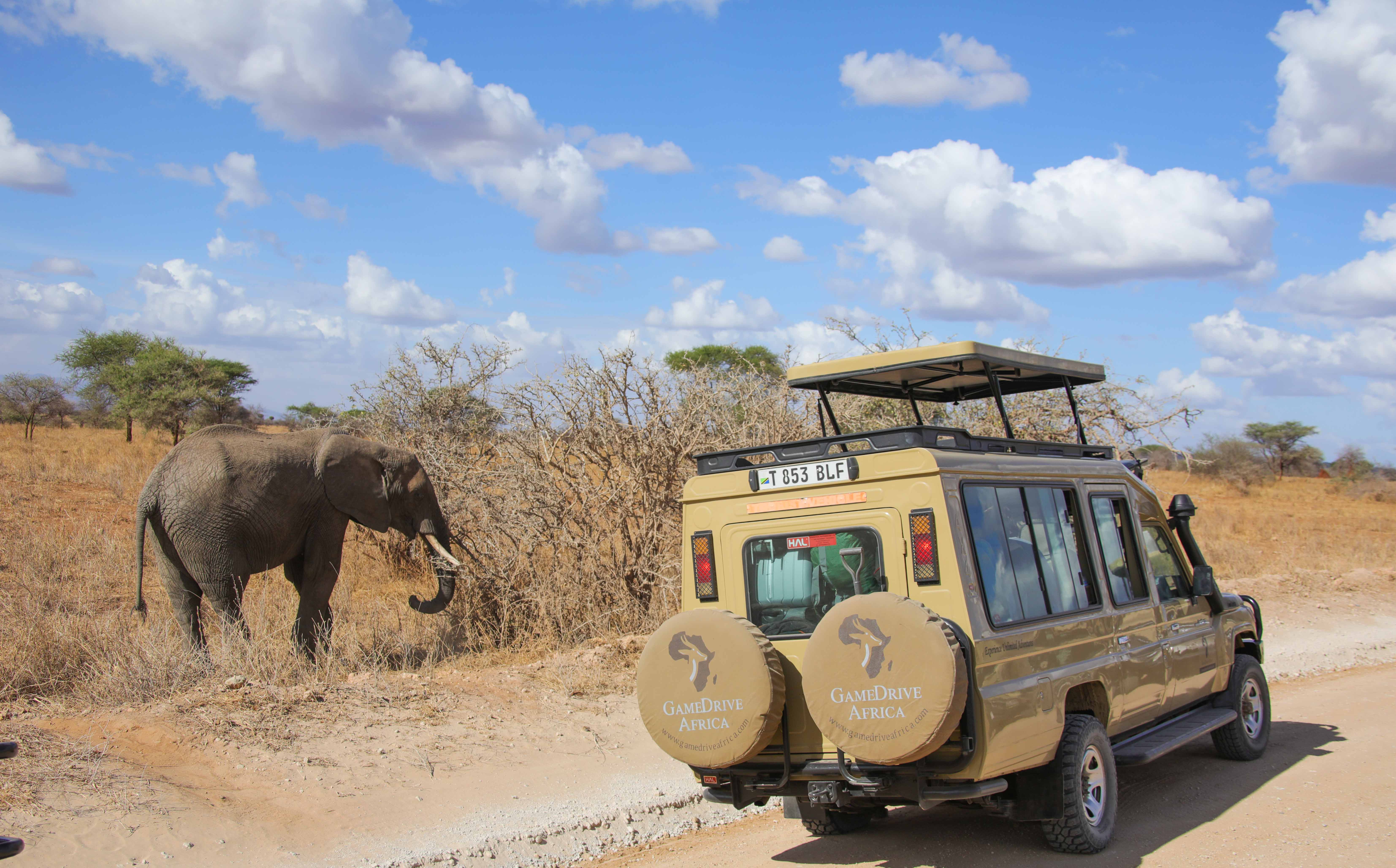 background image for - 4 Days Tanzania Mid-range Safari.