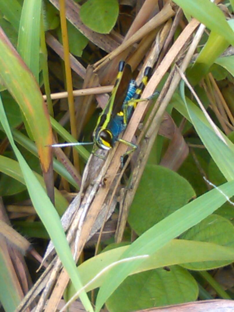 Image number 4 for 4 Days  Uluguru Mountain Climbing.