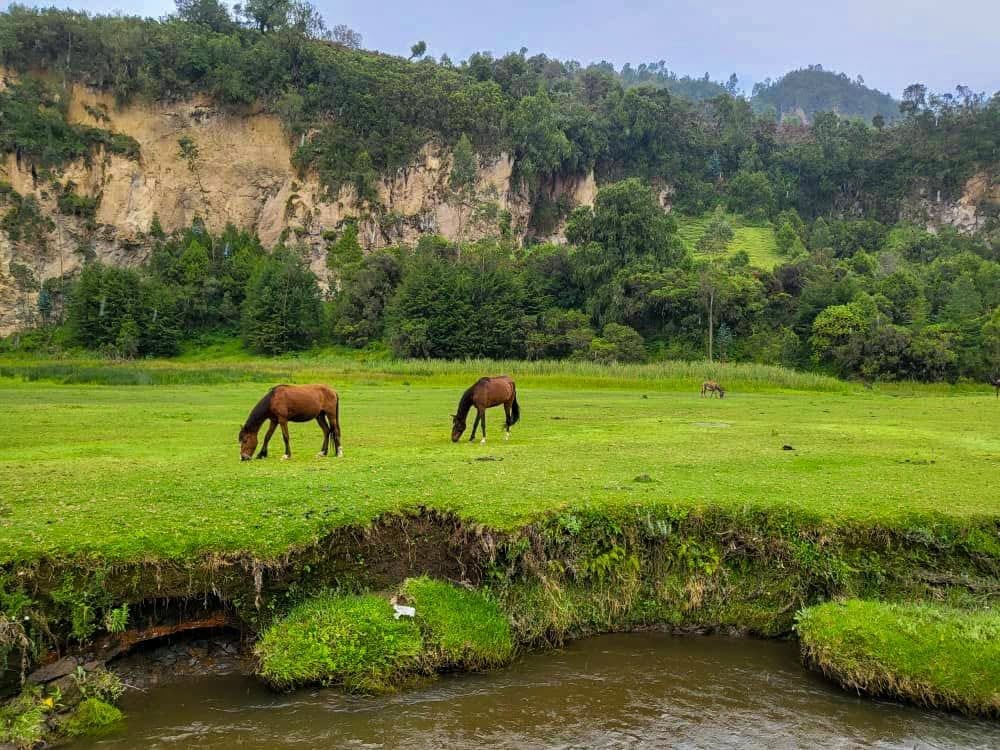 Image number 2 for Wenchi Crater Lake Tour | 2-Day Nature & Hiking Adventure