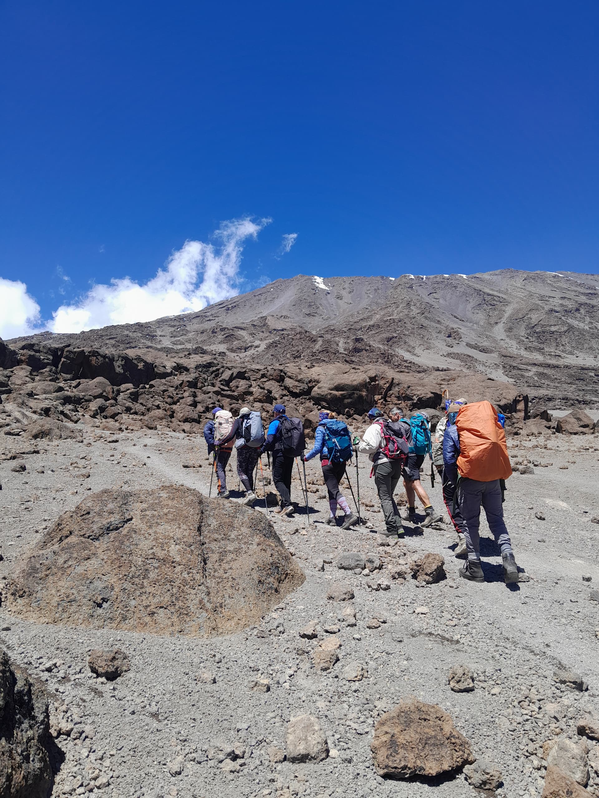 Image number 11 for Kilimanjaro Lemosho Route: Conquer The Roof Of Africa
