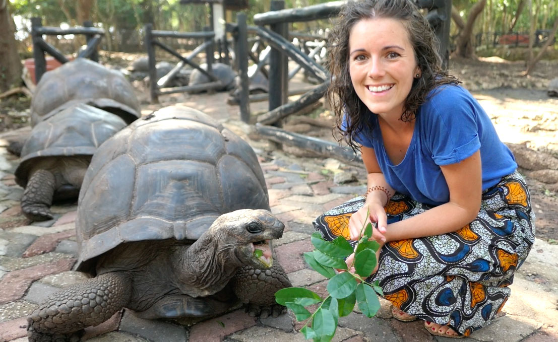 background image for - Prison Island & Nakupenda Beach Tour