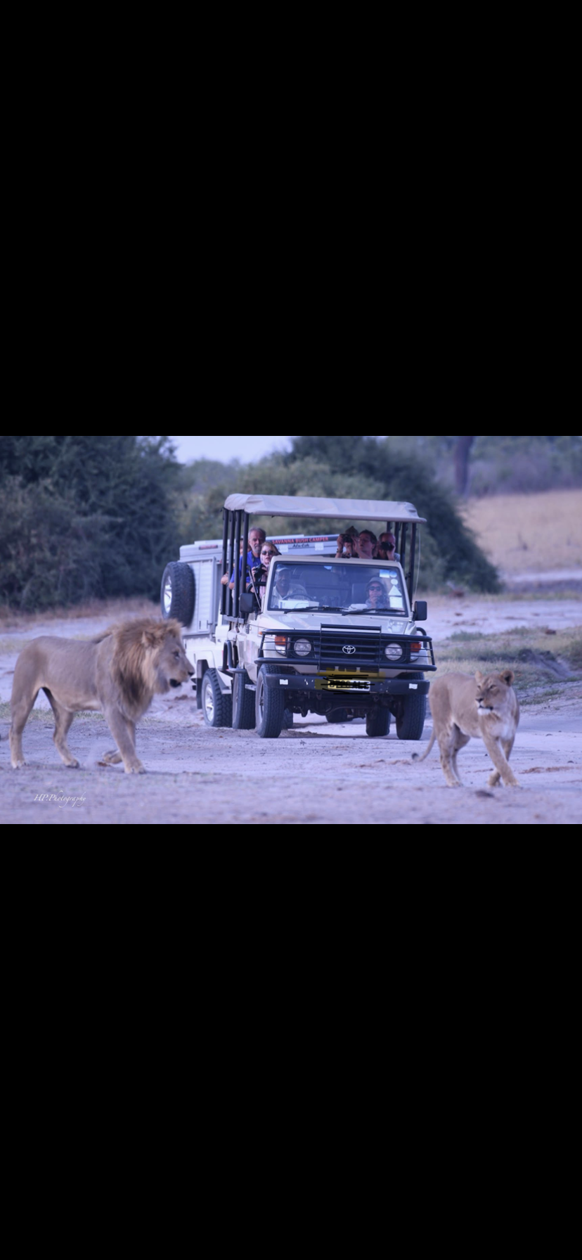 Image number 1 for Victoria Falls Game Drives