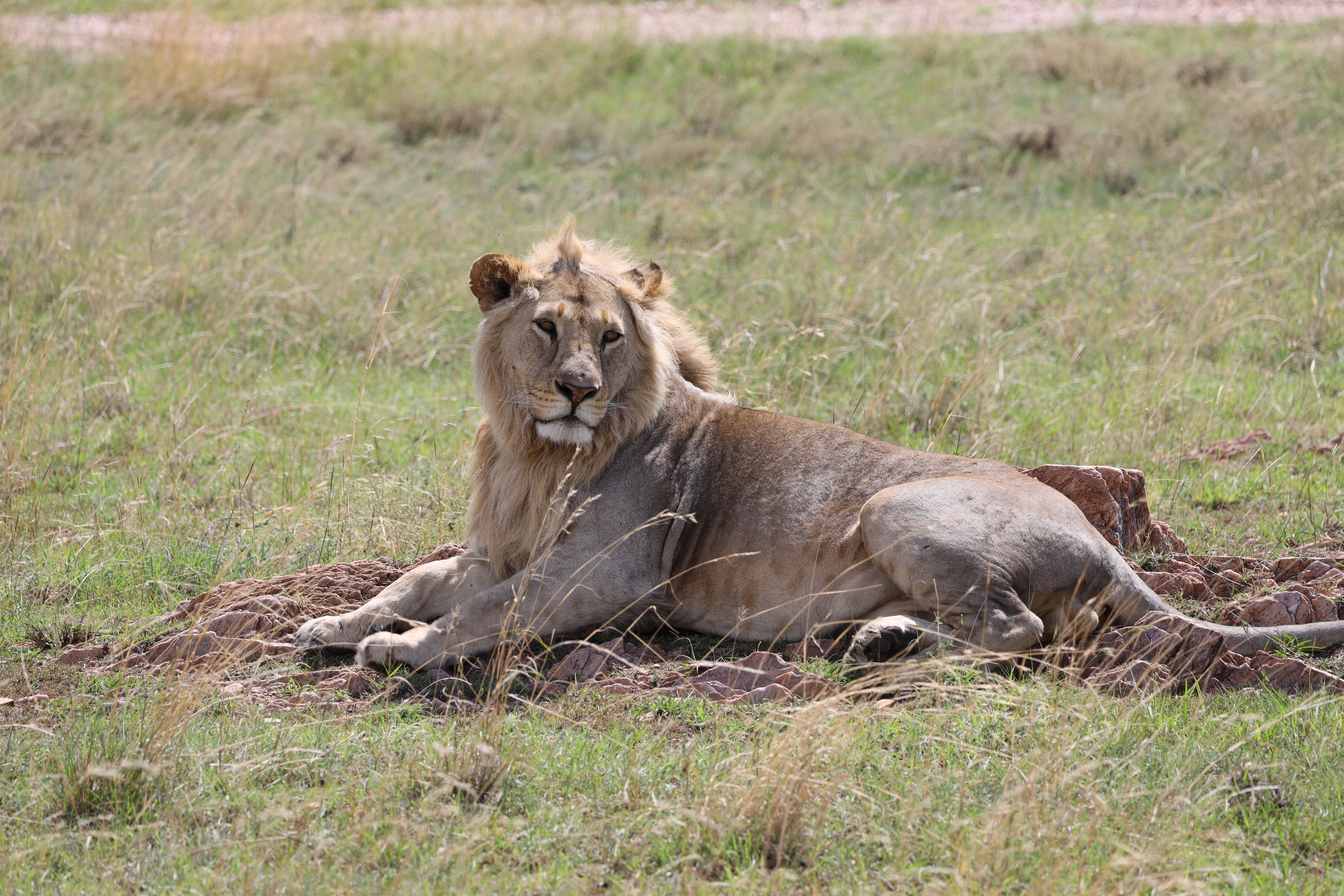 background image for - Northern  Circuit