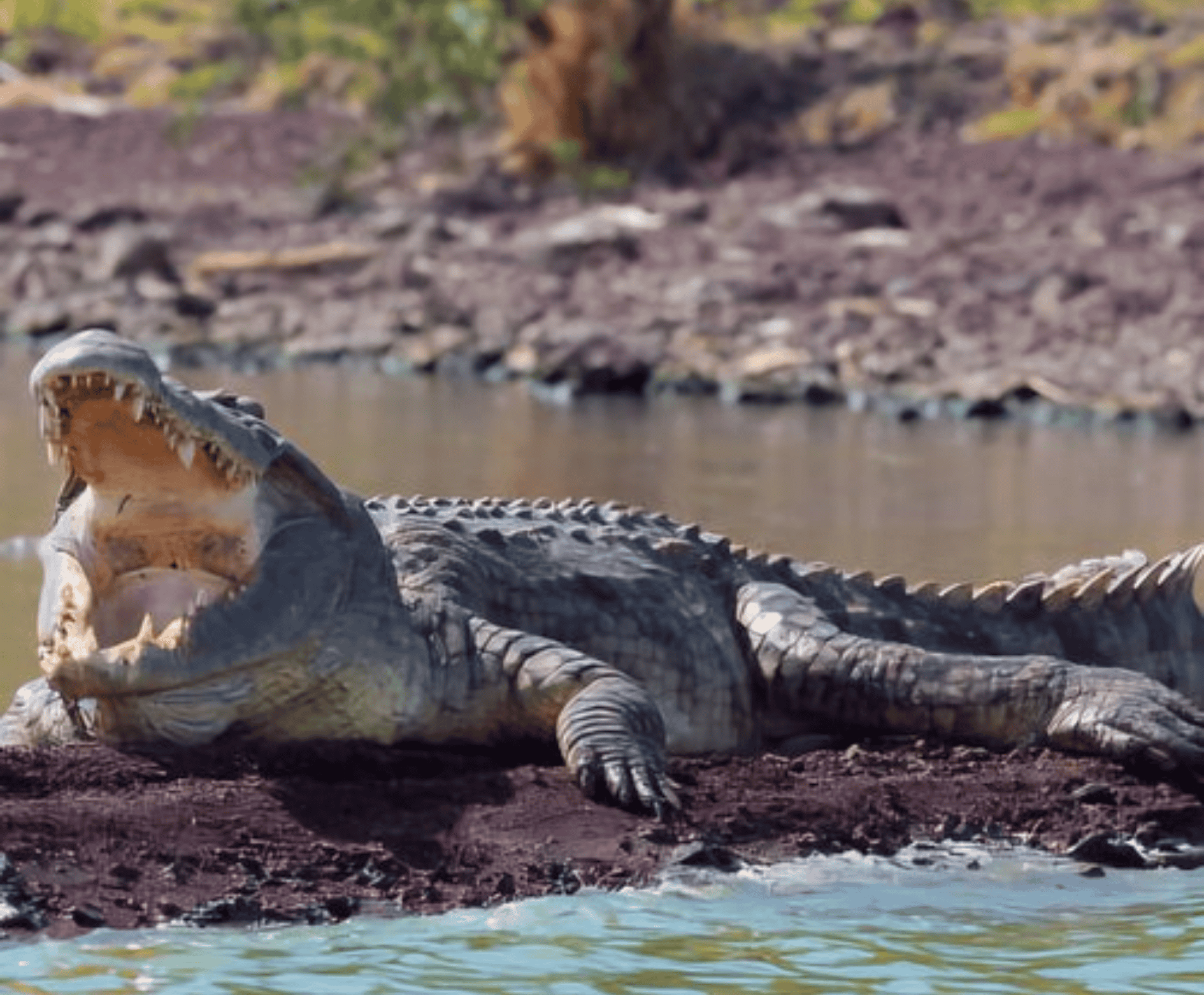 Image number 11 for Ethiopia’s Omo Valley: Land Of Ancient Cultures”