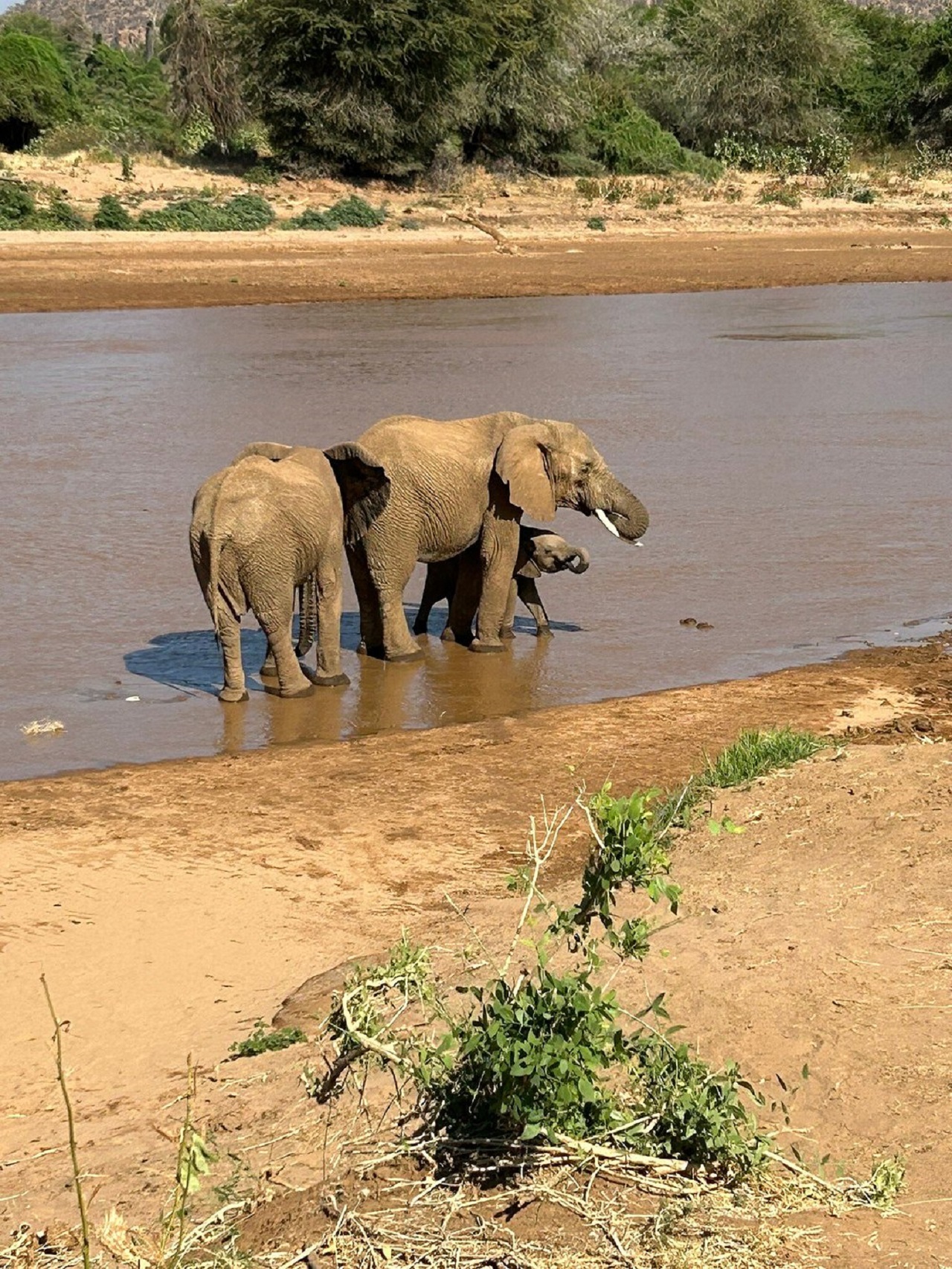 Image number 1 for From Nairobi: 3-Day Tour To Samburu National Reserve