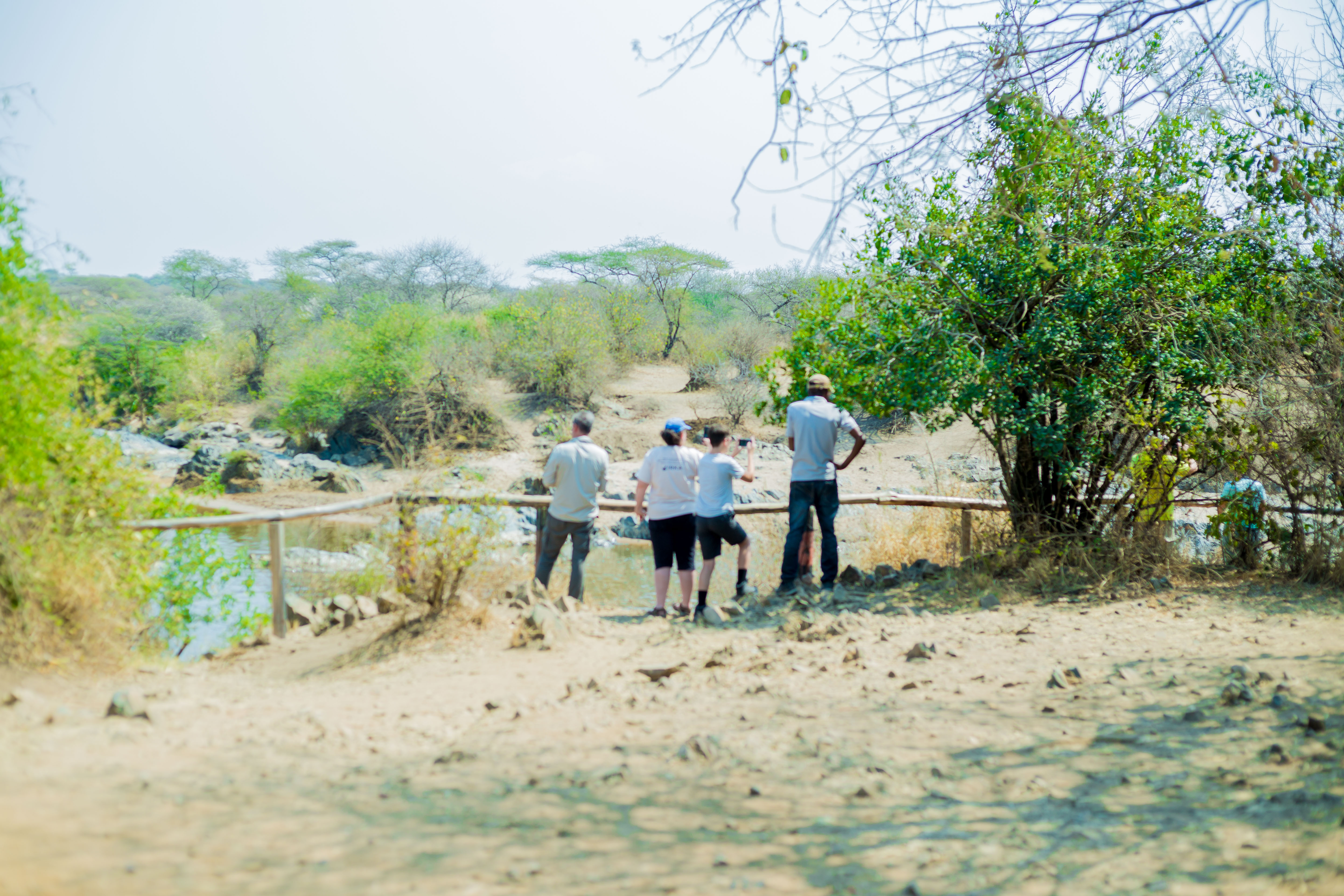 Image number 7 for The Best 4-Day Big Five Safari To Tanzania