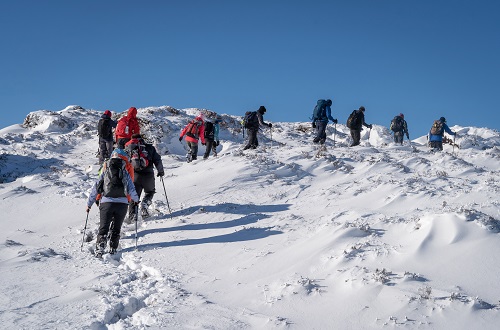Image number 2 for Kilimanjaro Climbing Via Lemosho  Route