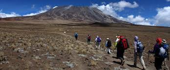Image number 7 for 6 Days 5nights Mount Kilimanjaro-Via Marangu Route