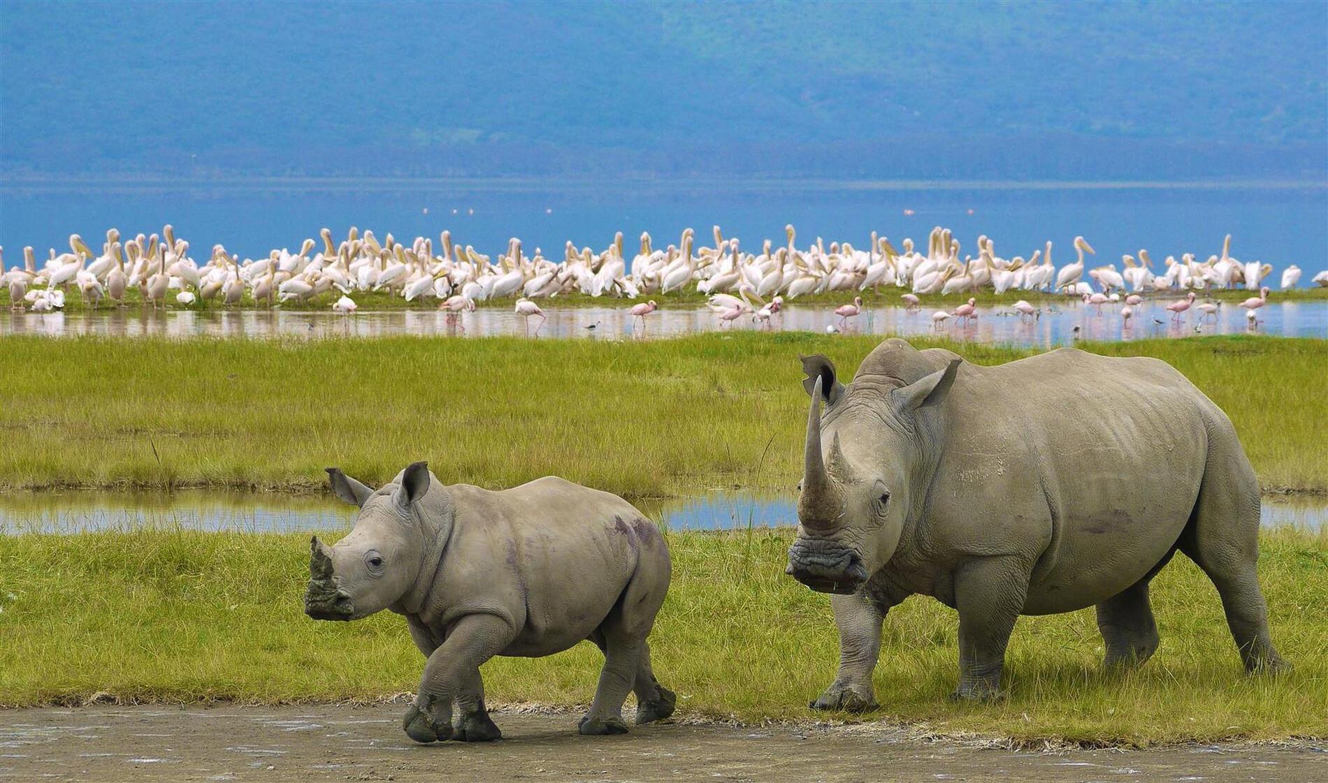Image number 1 for 3days Serengeti National Park & Ngorongoro Crater