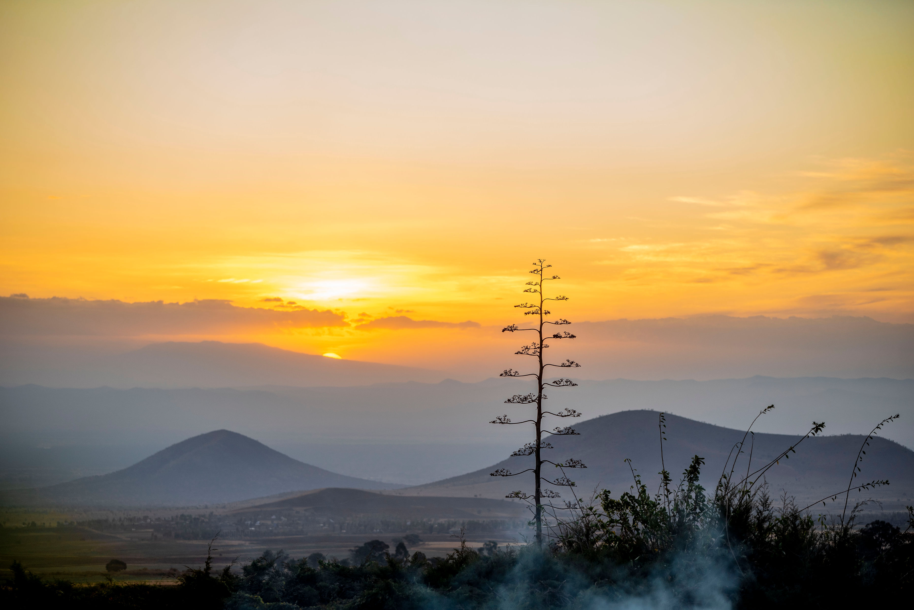 Image number 1 for Signature East Africa Luxury Safari