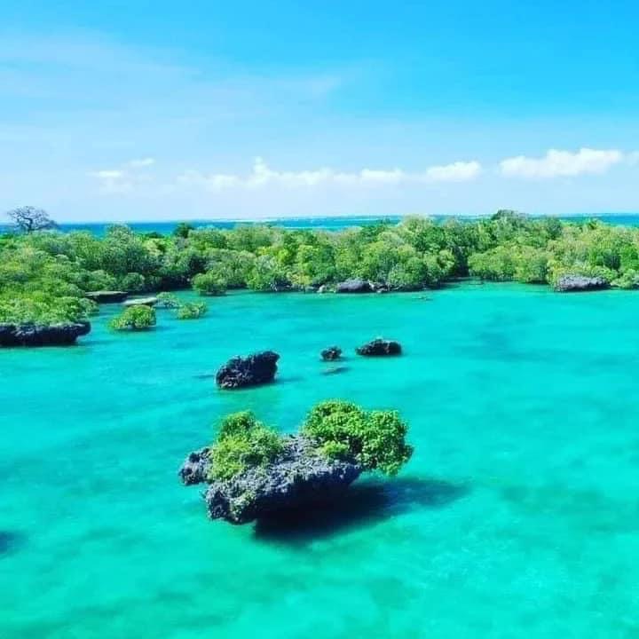 background image for - Best Zanzibar Island Safari