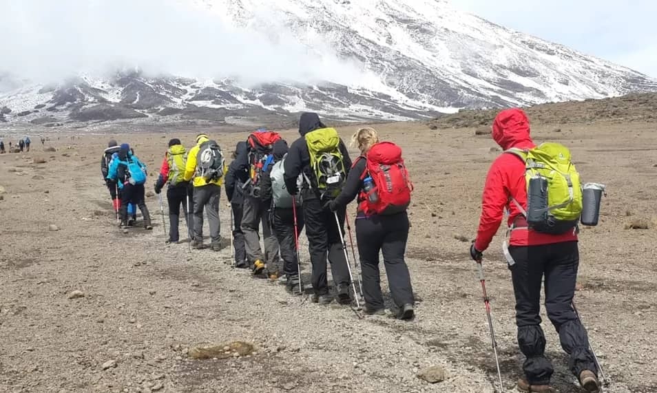 background image for - Kilimanjaro Trek Marangu Route 6 Days