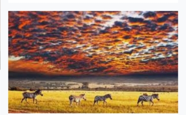 background image for - Classic Wildebeests Safari At Ndutu Area