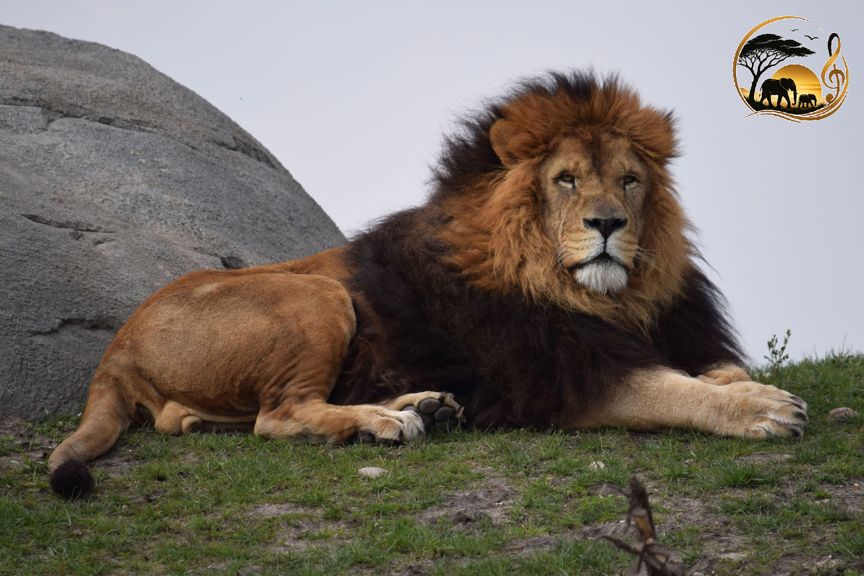 background image for - 2 Days Tarangire And Lake Manyara Safari