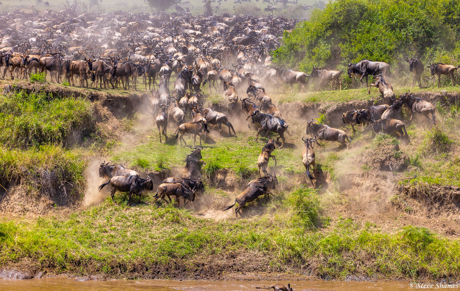 background image for - 4- Days Lovely Tanzania Safari