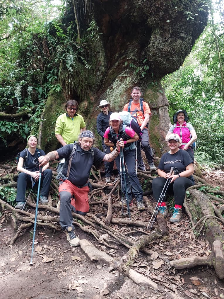 Image number 7 for Kilimanjaro Marangu Route: Conquer Africa’s Rooftop