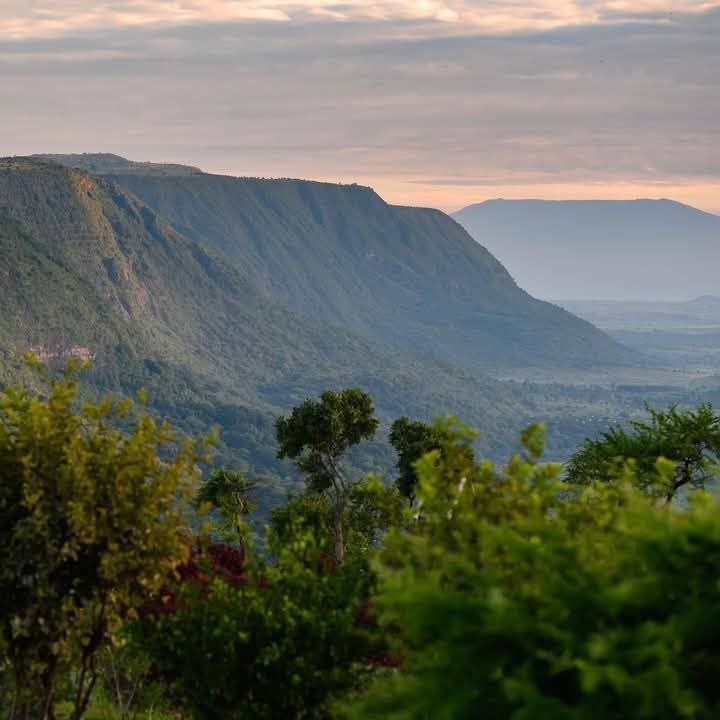 Image number 8 for Budget Private Safari In Tanzania