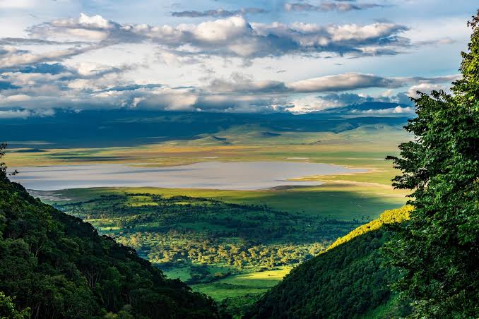 Image number 5 for Mount Kilimanjaro, Serengeti & Ngorongoro Adventure