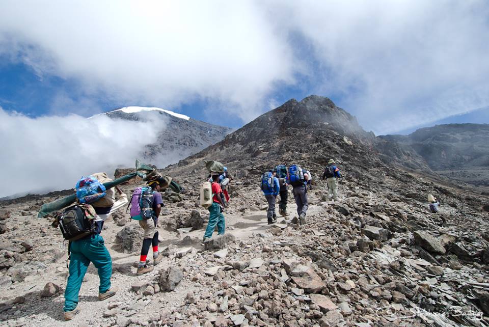 background image for - Climb Mount Kilimanjaro Via Rongai Route