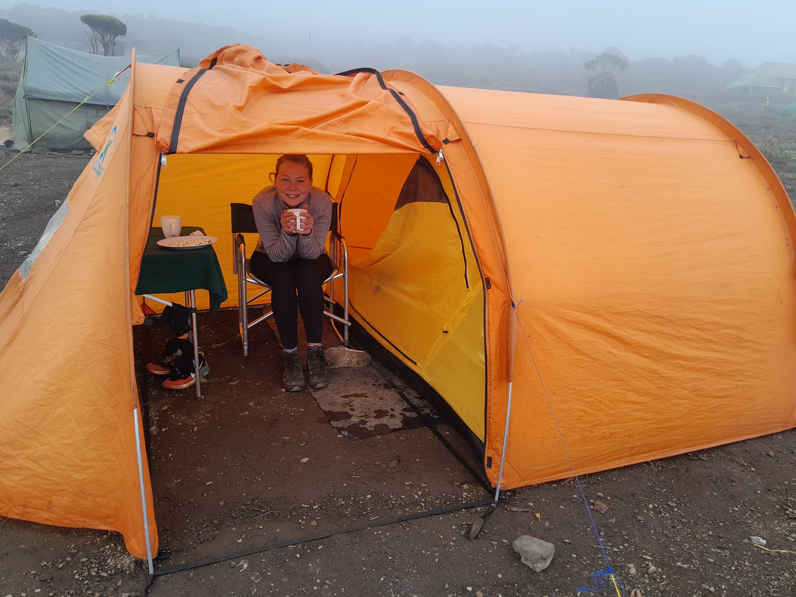 Image number 9 for Kilimanjaro Lemosho Route: Conquer The Roof Of Africa