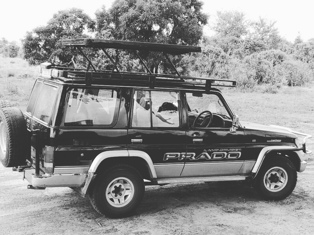 background image for - Day Tour  to Nyerere National Park - Selous