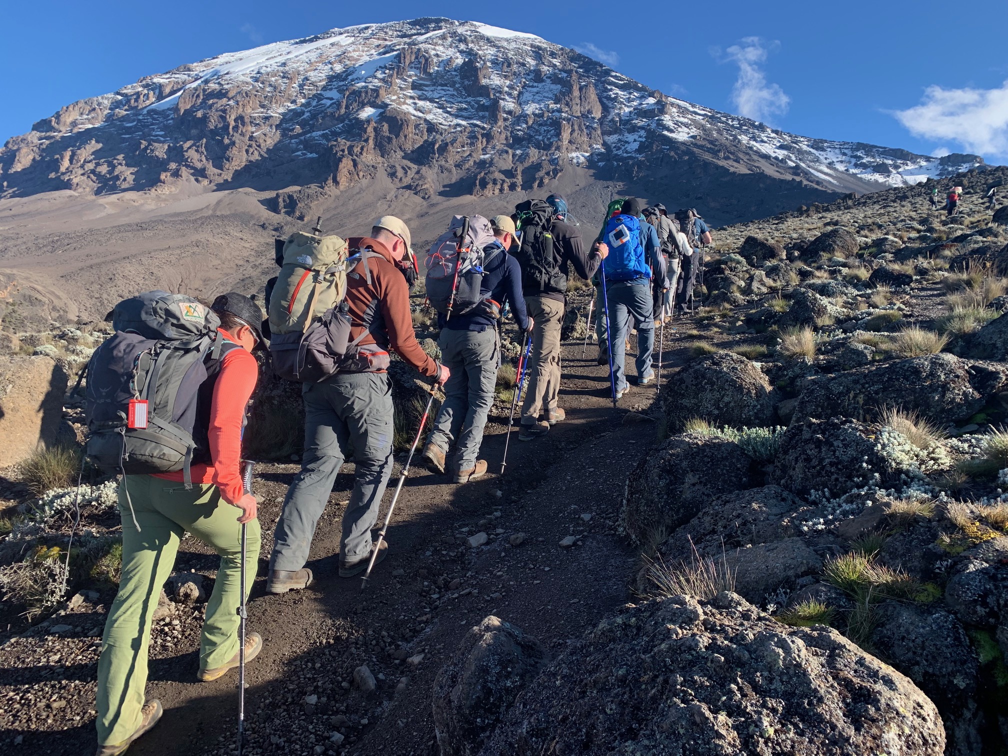 background image for - Mount Kilimanjaro Lemosho Route  8 Days