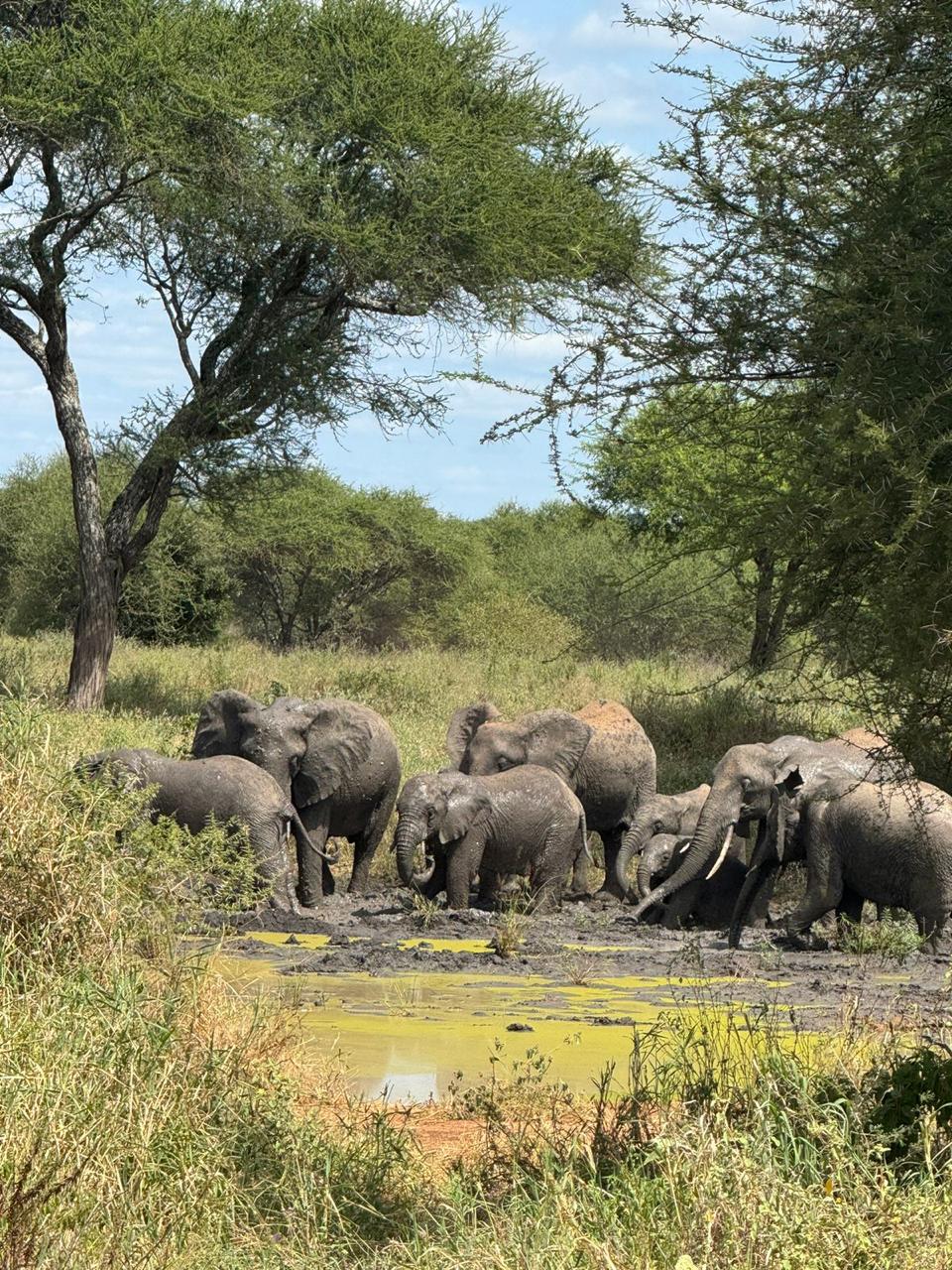 Image number 1 for Tanzania Adventure Safari 