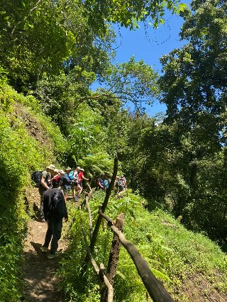 Image number 1 for  Kilimanjaro Hike To Mandara Hut