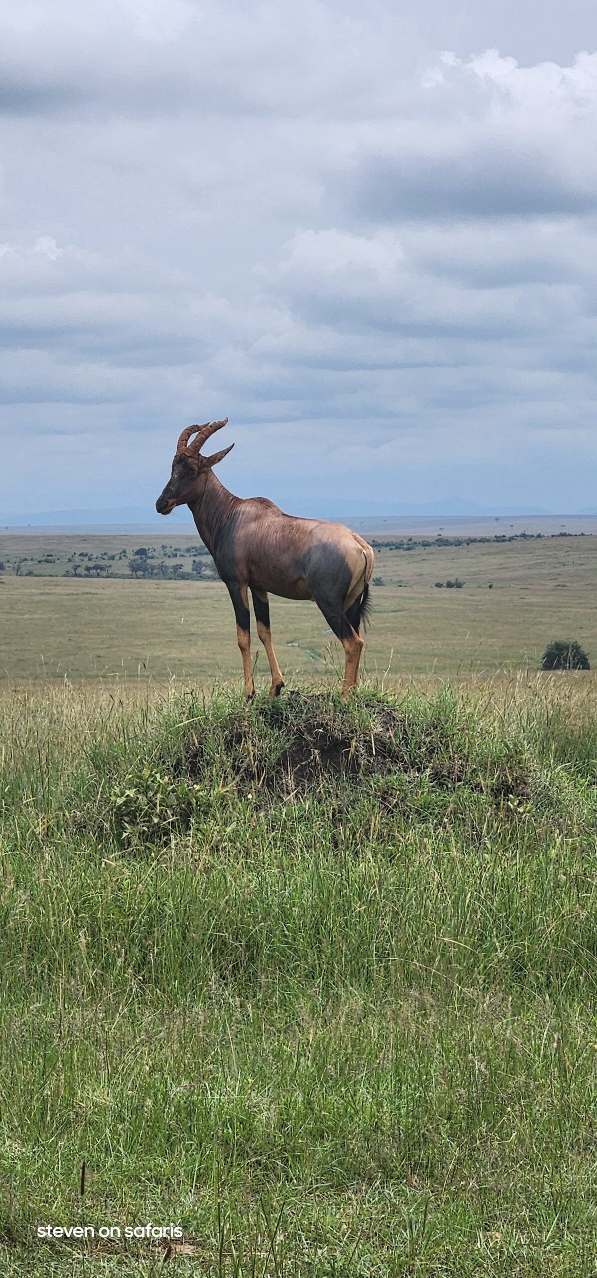 Image number 2 for 6-Day Kenya Safari For Couples Mid-range