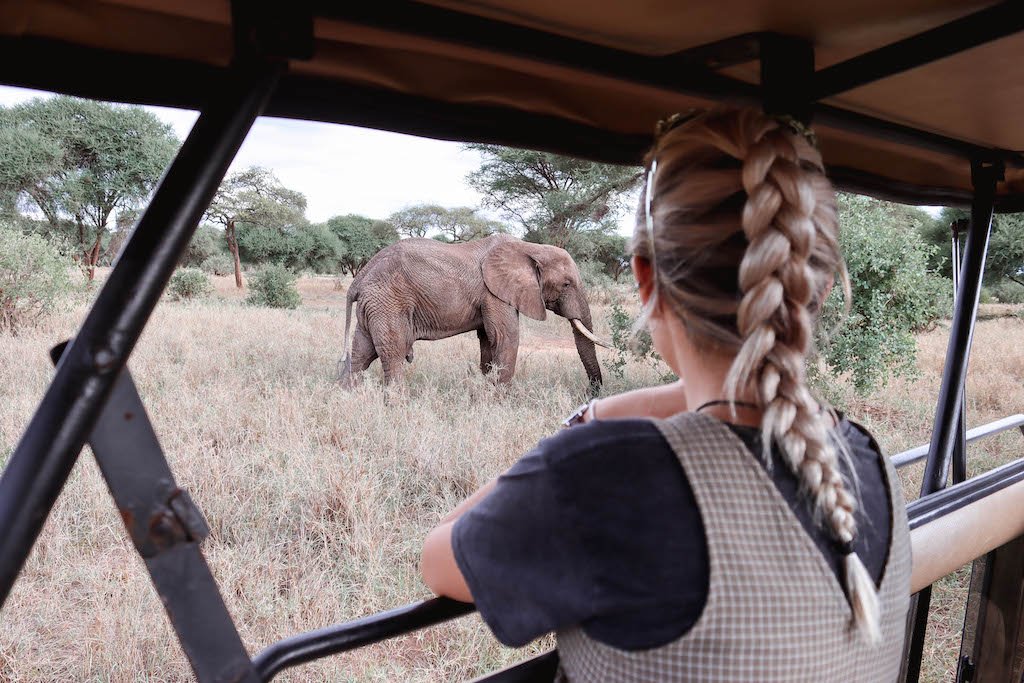 background image for -  6 Days Tanzania Camping Safari