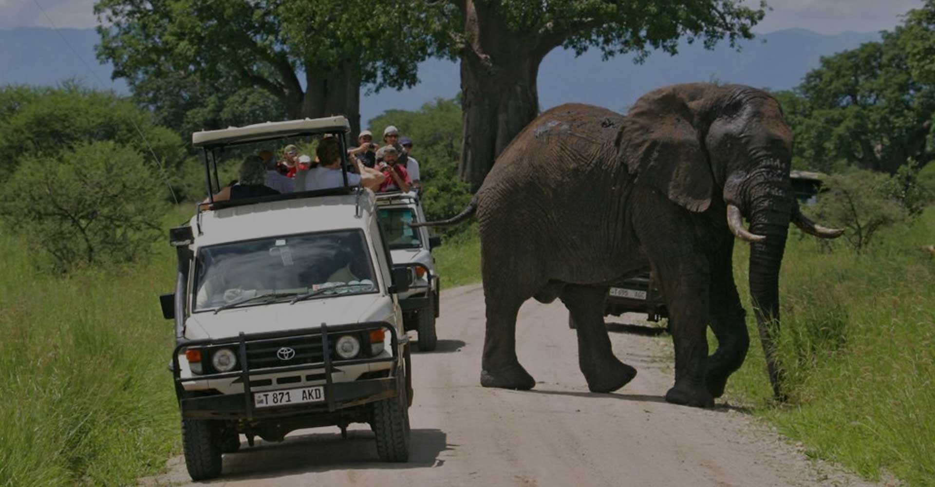 Image number 4 for 2-Day Experience Safari To Tarangire And Ngorongoro