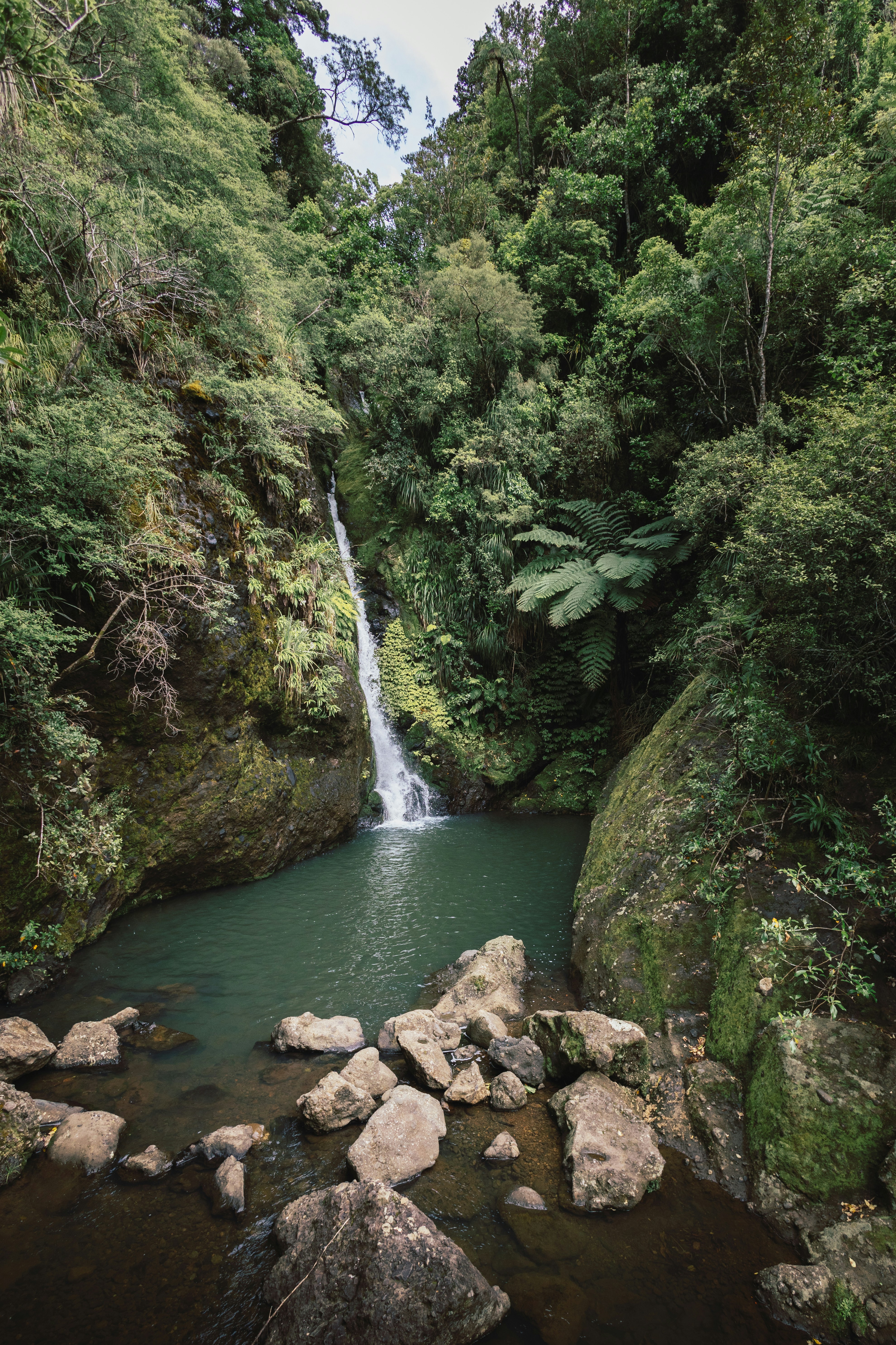 background image for - 3-Day Mikumi & Udzungwa Mountains Safari