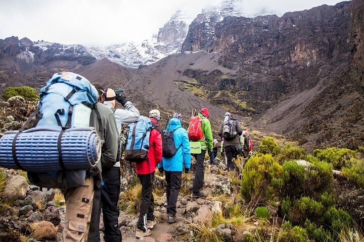 Image number 4 for Kilimanjaro Via Rongai Route 6-Days Trek 8day Tour