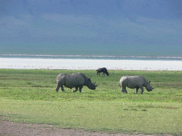Image number 3 for Tanzania Safari Tarangire Serengeti Ngorongoro