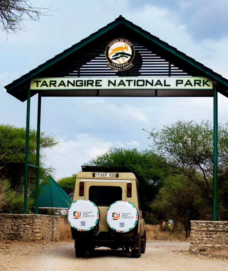 Image number 1 for Tanzania Safari Experience