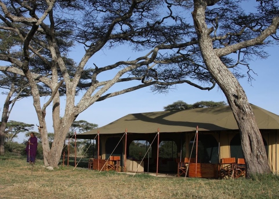 background image for - 6 Days Serengeti Tented Camps Safari