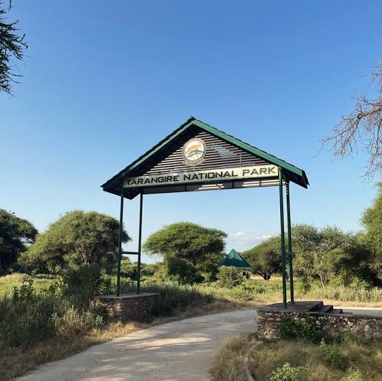 Image number 3 for  Mid-range Shared Classic Wilderness Safari