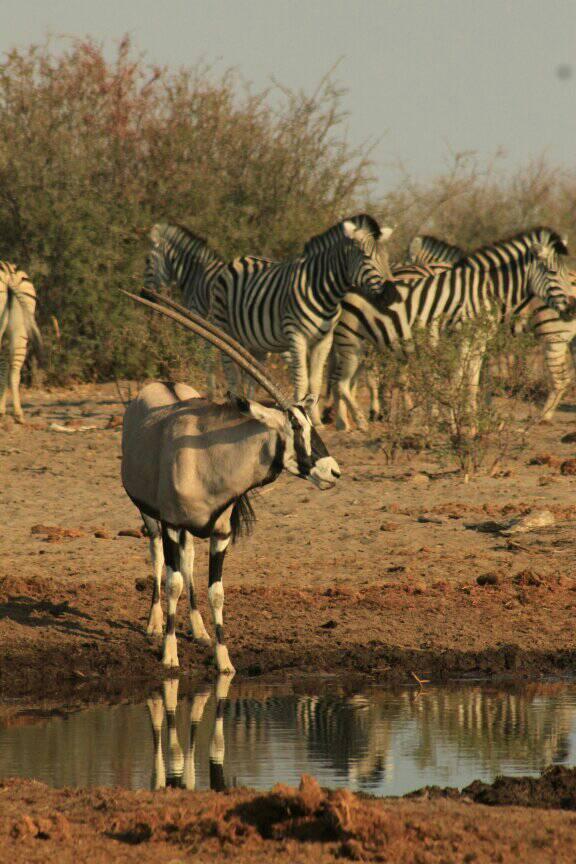 Image number 4 for Tarangire, Manyara And Ngorongoro Safari