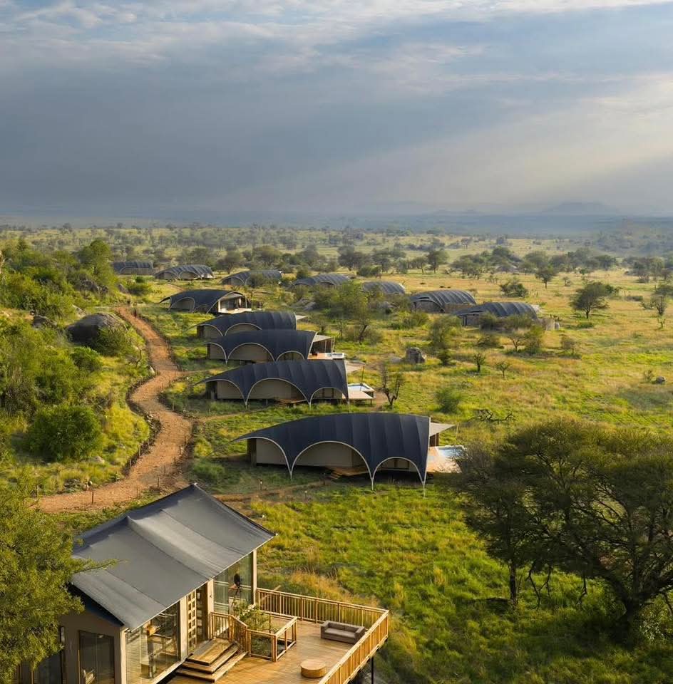 Image number 8 for Private Luxury Safari Serengeti & Ngorongoro