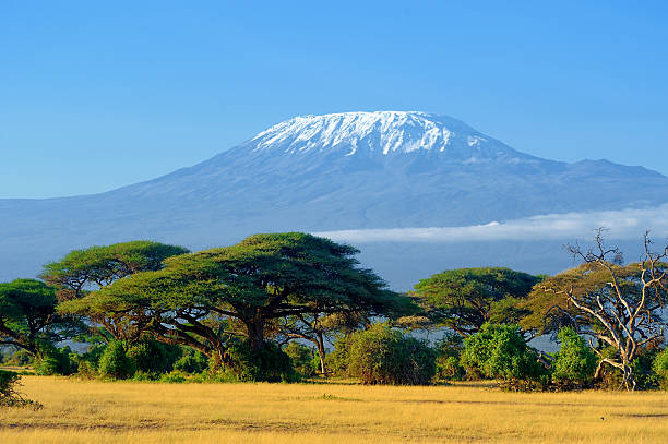 background image for - Mountain Kilimanjaro Trekking In 6 Days
