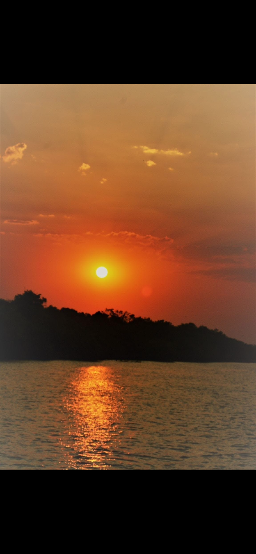 Image number 5 for Sunset Cruise On The Mighty Zambezi 