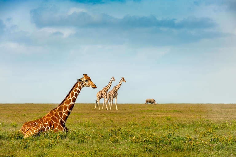 Image number 1 for Fly In & Out From Tarangire And Ngorongoro Crater