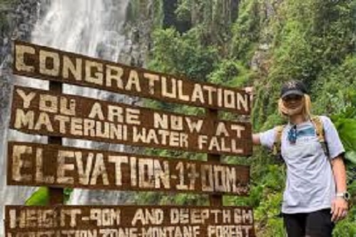 background image for - Materuni Waterfall And Coffee Farm Tour
