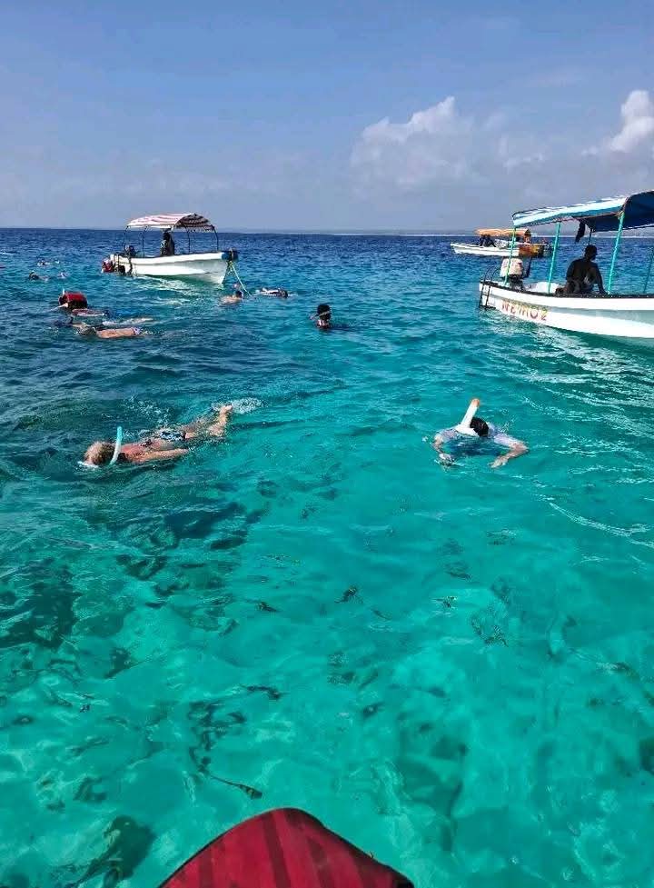 Image number 6 for Zanzibar Holiday: Discover Tropical Beaches