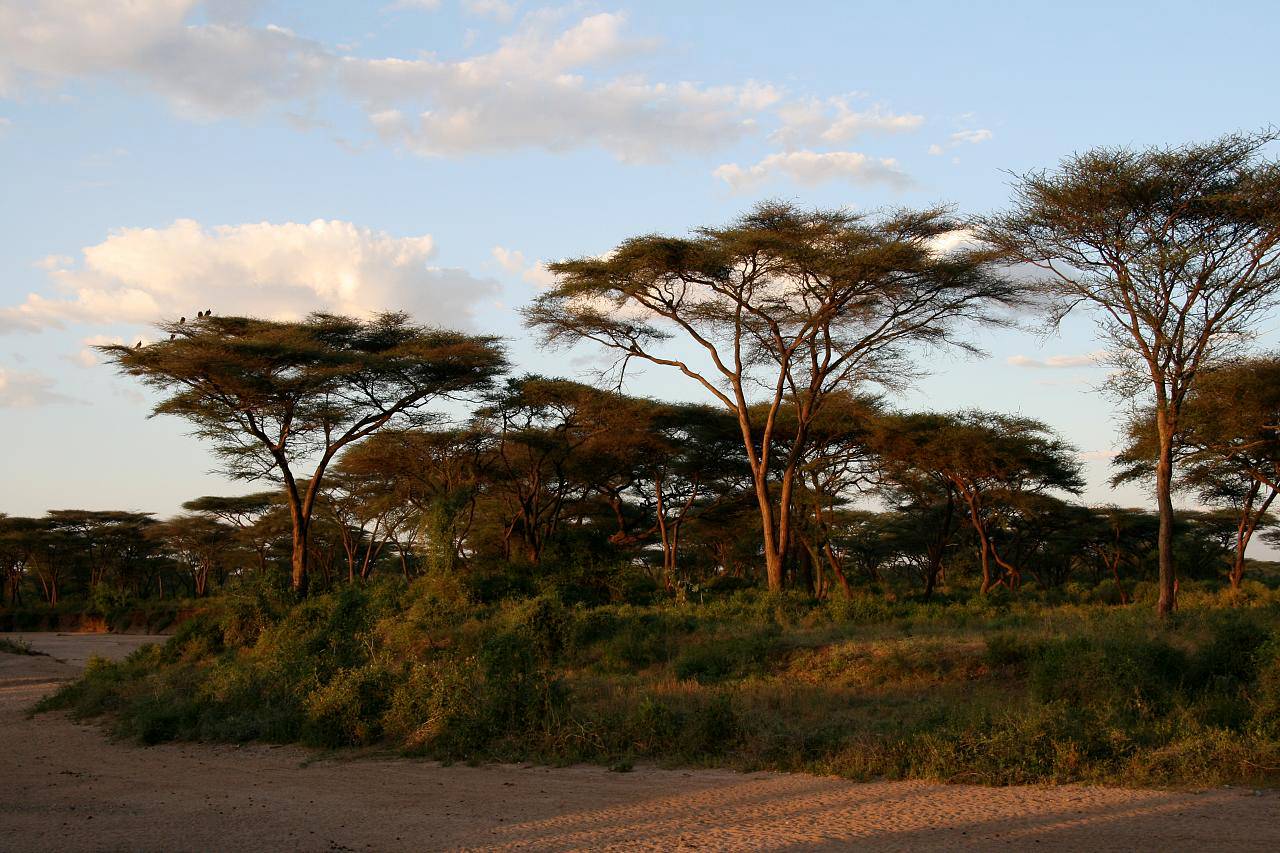 Image number 5 for Visiting Omo Valley